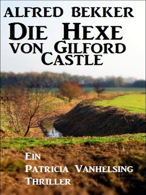 cover image of Die Hexe von Gilford Castle
